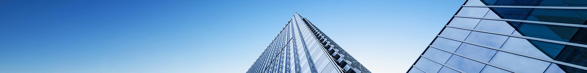 新聞動(dòng)態(tài)-濟(jì)南寶翠飼料有限公司官方網(wǎng)站